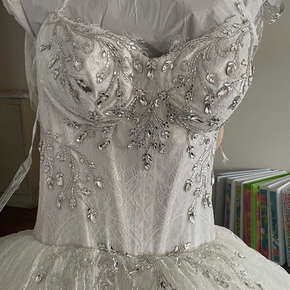 Pnina Tornai Wedding Gown - Picture 13 of 16